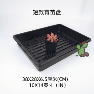短款育苗盘黑色塑料盆浸盆水培盖子叶插用平盘多肉小黑方塑料盆