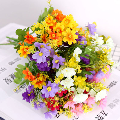 田园小玫瑰单支跳兰菊花卉雏菊