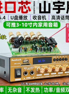 220V大功率迷你小型蓝牙hifi功放机家用无损12V插卡U盘收音空放机