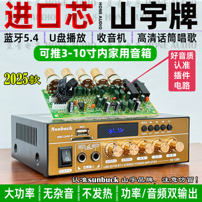 多功能功放蓝牙5.4220v大功率