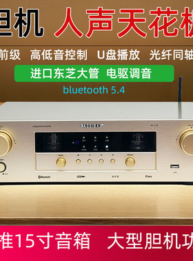 大功率功放机电子管胆前置带蓝牙U盘无损解码发烧级天花板级人声