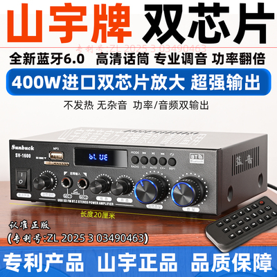 进口芯大功率6.0蓝牙功放机收音机u盘话筒唱歌无损音质12v通用220