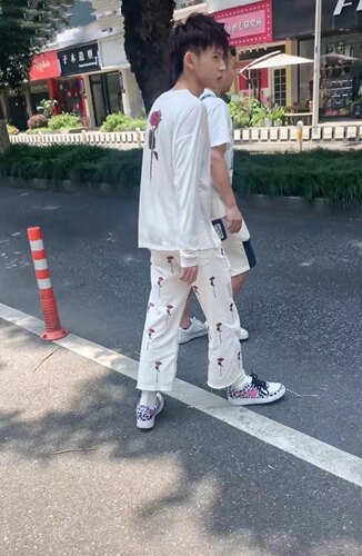 豹纹低帮小鬼周震南同款板鞋