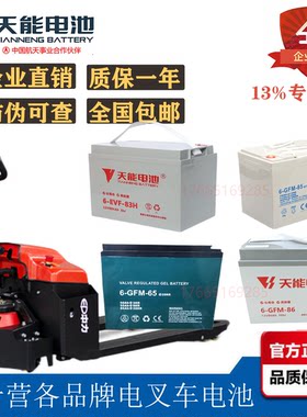 12v85AH65AH天能电动叉车堆高车