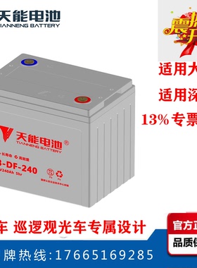 扫地车 升降平台 观光游览车 巡逻车天能电池3-DF-240 6V48V240AH