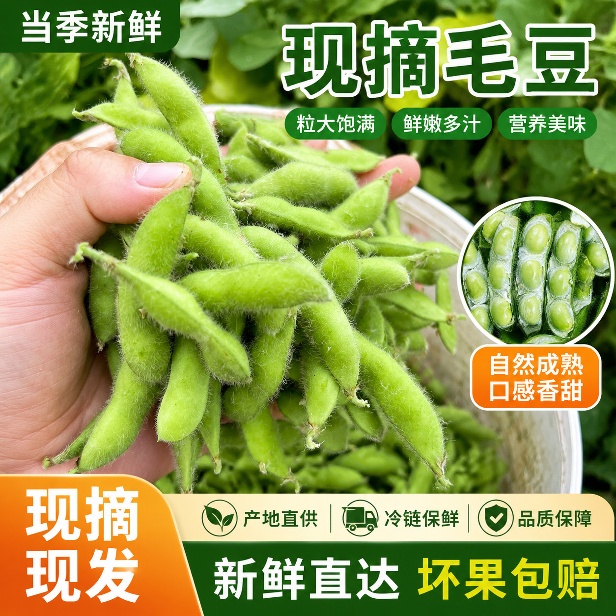 【现摘新鲜】安徽农家新鲜嫩毛豆带壳现摘现发毛豆角青毛豆带壳
