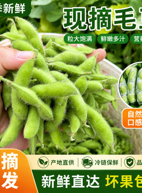 26年头茬【露天毛豆】鲜嫩新鲜