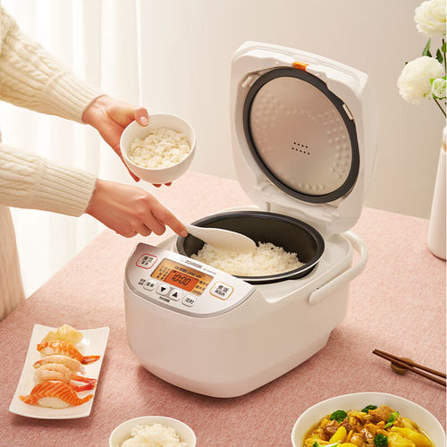 ZOJIRUSHI/象印 NL-DAH10C 家微电脑智能电饭锅大容量智能预约