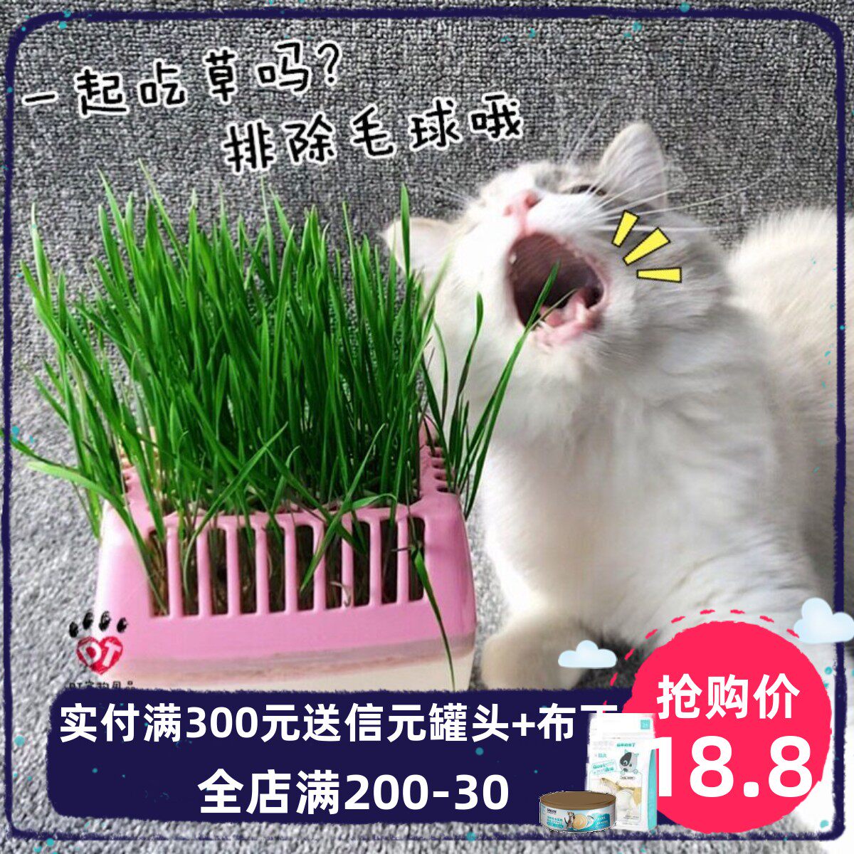 Petstyle猫草宠物猫草零食猫薄荷猫食去毛球水培套装带盒子