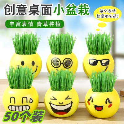 儿童迷你盆栽草头娃娃办公室礼物