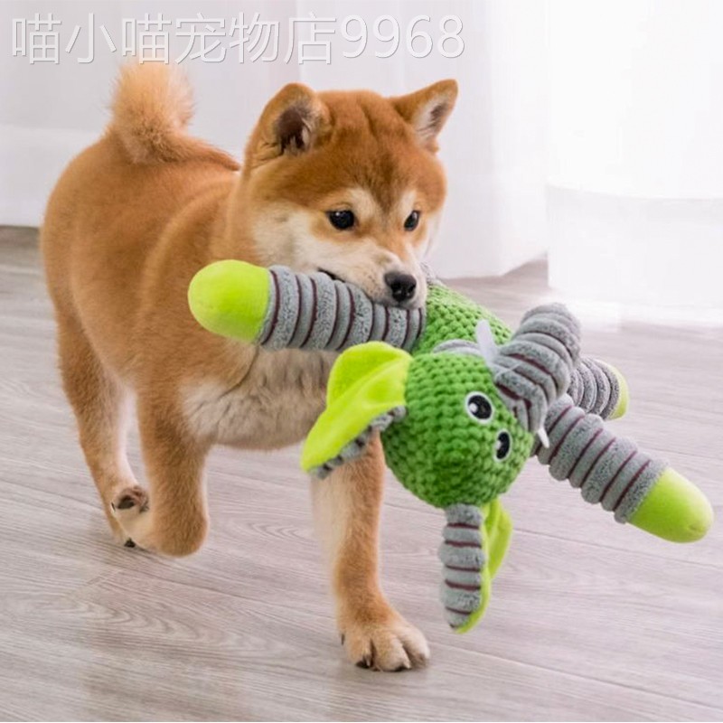 狗狗玩具绒发声泰毛比熊中柴犬磨牙大型犬柯CK051迪基互动耐咬宠