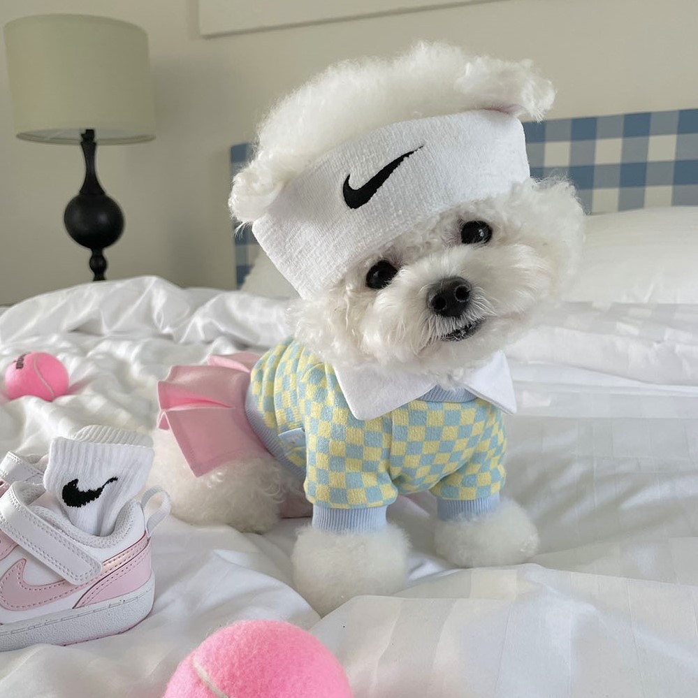 棋盘格子宠物衣服狗狗网球