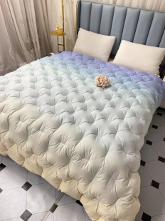 孤品清仓处理母婴级羽绒被芯春秋被冬被加厚保暖羽绒棉被芯