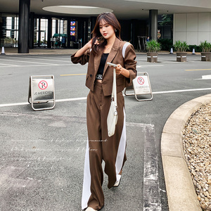 高级感小西装套装女春秋2025年新款韩版洋气时尚西服阔腿裤两件套图片