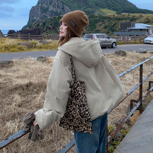 199-W57-P255-控378【档口现货】50羽绒服百搭不挑人图片