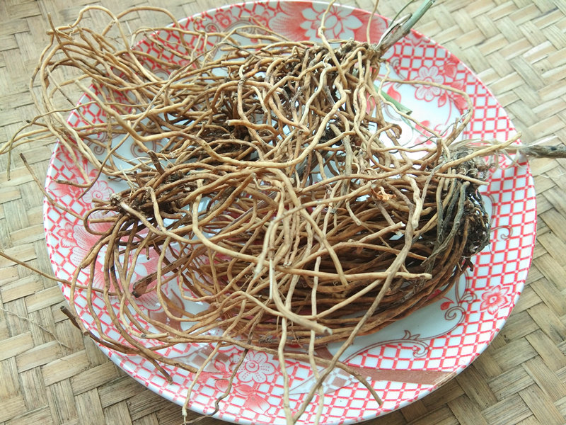 贵州野山白薇中药材 针线包老君须知微老山烟根子百荡草500克干货