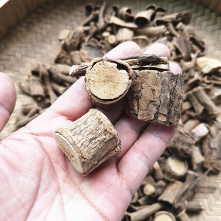 地产野生水冬瓜根皮中药材 贵州山货接骨丹中草药叨里木清明花