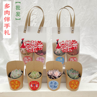 学生多肉植物礼品手提袋创意伴手礼盆栽花 38女神节福利礼品开学季