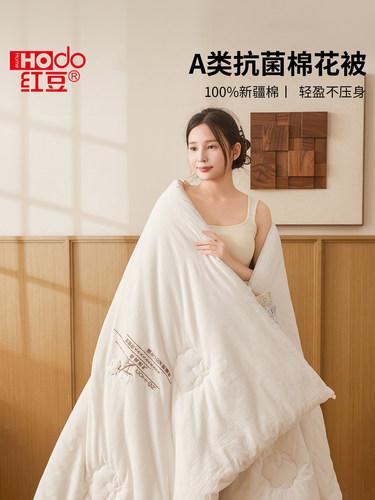 红豆棉花被子被芯2025新款四季通用A类棉絮家用宿舍单双人春秋被
