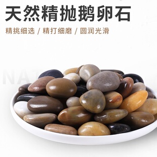 造景微景观石头 黄缘龟安缘生态缸天然鹅卵石雨花石乌龟缸装饰