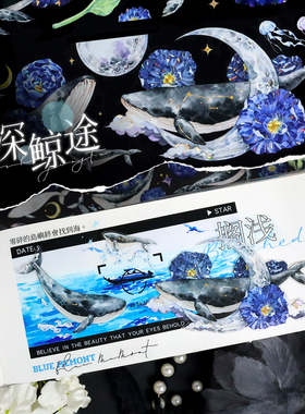 新款造景现货海深鲸途NEW手帐和纸胶带PET贝壳光鲸鱼花花特材贴纸