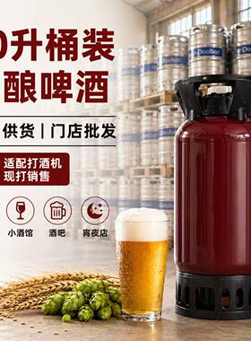 20L商用精酿啤酒桶装餐饮批发