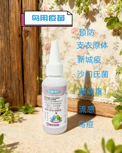 德邻鹦鹉鸟用口服疫苗预防单眼伤风新城疫腺病毒沙门氏鸽痘衣原体
