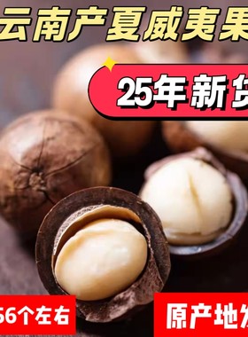 2025年新货夏威夷果云南产好吃
