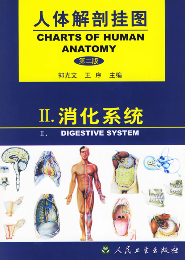 人体解剖挂图 消化系统 二 运动系统 消化系统 呼吸系统 泌尿生殖系统 循环系统 郭光文 序著 9787117038034 人民卫生出版社