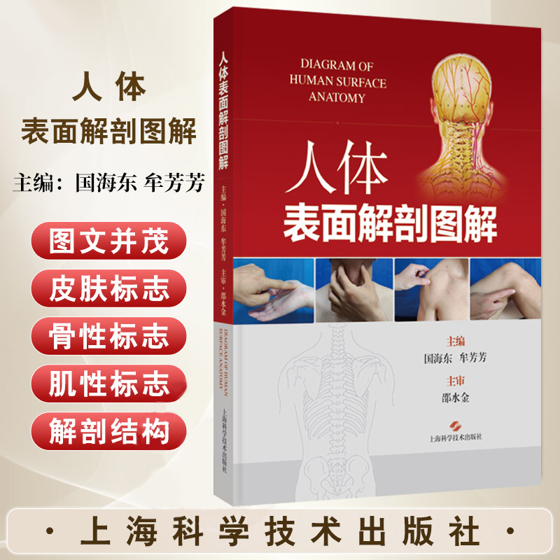 人体表面解剖图解 国海东 解剖学实用医学艺术结构运动体育解剖功能系统列车奈特笔记3d解刨断层基础彩色图谱全书彩色学体表
