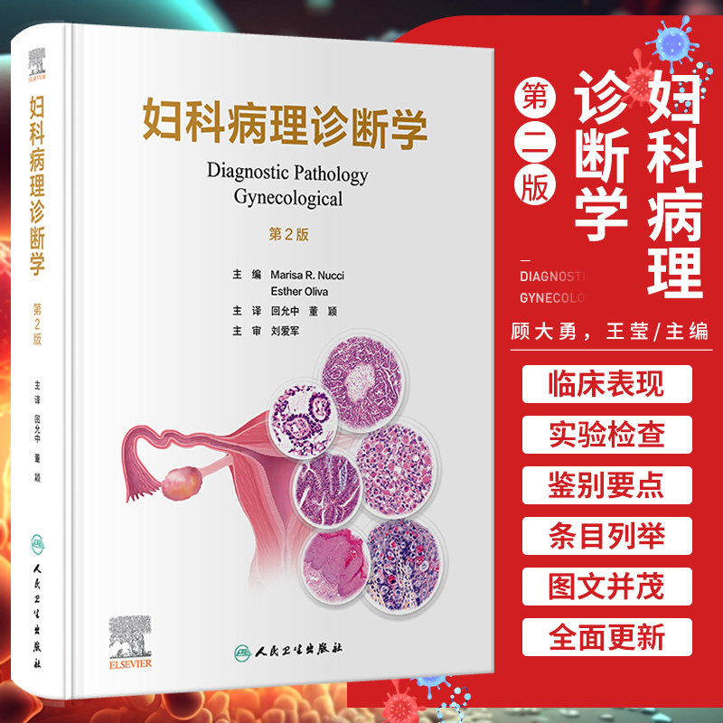 妇科病理诊断学 第2版第二版翻译版 回允中 董颖 人民卫生出版社 9787117354851实用妇产科学宫颈子宫内膜癌卵巢癌和子宫间质肿瘤