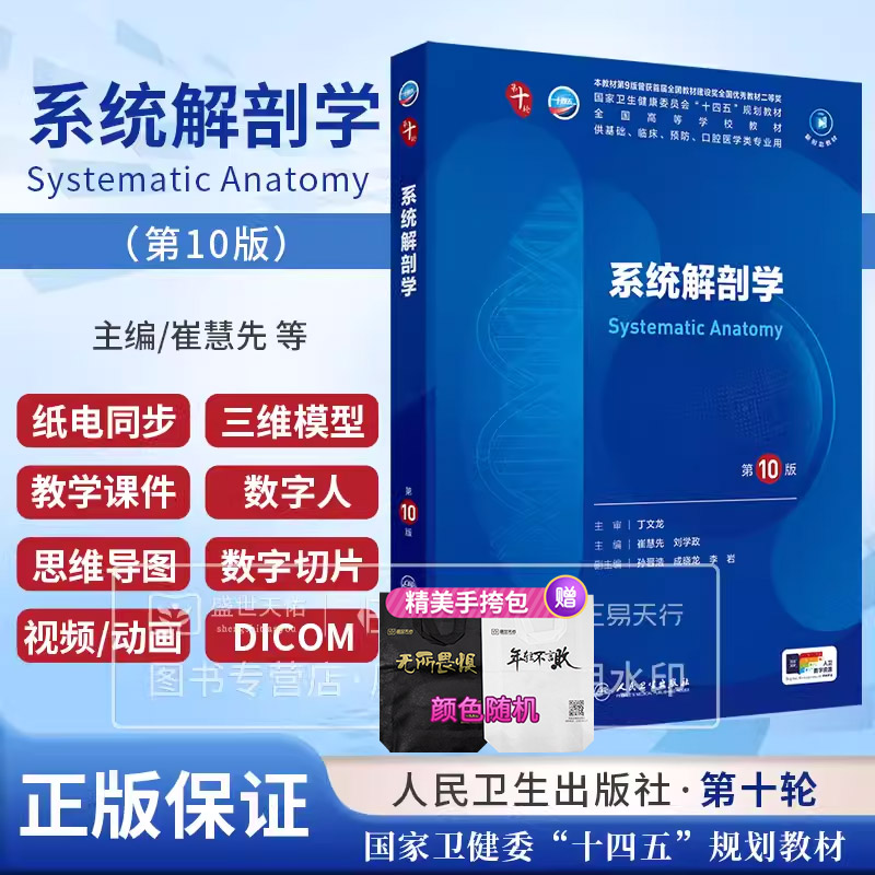 系统解剖学 第10版第十版 本科临床西医医学人体解刨学彩色教材书图谱妇产科学内科学外科儿科学诊断局部人民卫生出版社考研十四五