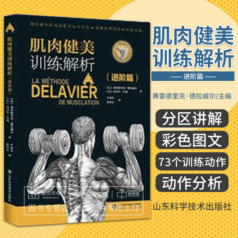 肌肉健美训练解析 进阶篇 德拉威尔肌肉训练方法计划体型训练宝典健身板块图解运动解剖学图谱教程大全书籍增肌拉伸减脂肌肉解剖书