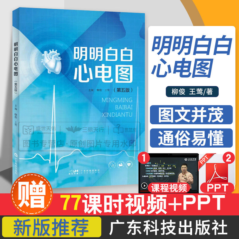 明明白白心电图王莹柳俊