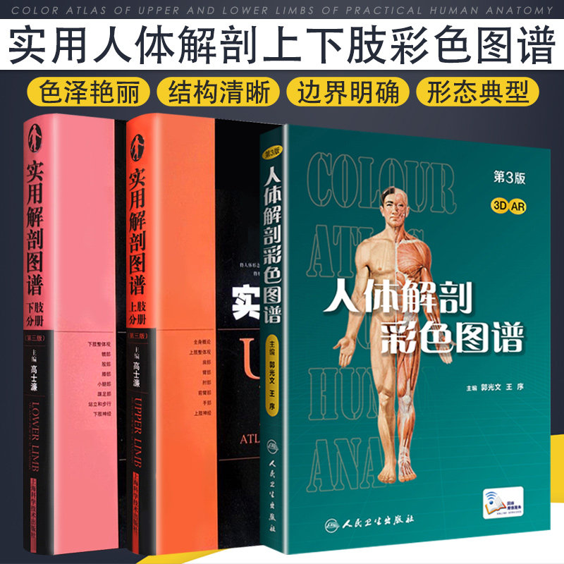 人体解剖彩色图谱(第3版)+实用解剖图谱套装 (第3版)上肢分册+实用解剖图谱套装 (第3版)下肢分册 上肢整体观 下肢整体观 彩图