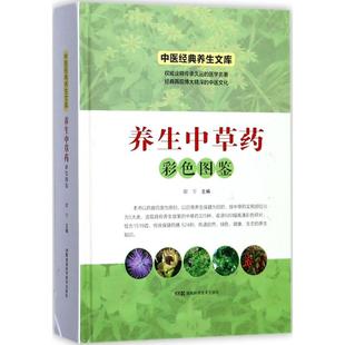 湖南科学技术出版 asy 9787535793782 谢宇 社有限责任公司 养生中草药彩色图鉴