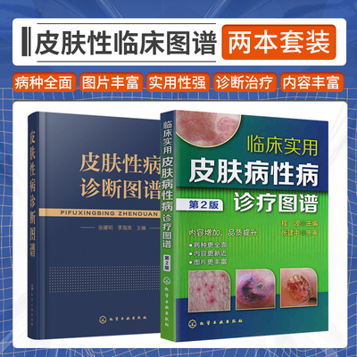 皮肤性病诊断图谱+临床实用皮肤病性病诊疗图谱 第2二版 皮肤科皮肤病性病知识书籍大全医学皮肤病学皮肤性疾病手册