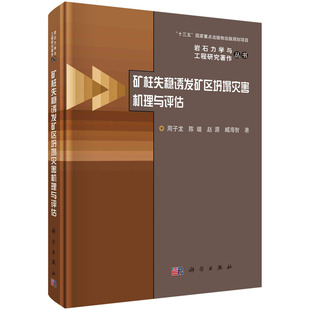 asy 矿柱失稳诱发矿区坍塌灾害机理与评估(精)/岩石力学与工程研究著作丛书 林强 9787030717351 科学出版社