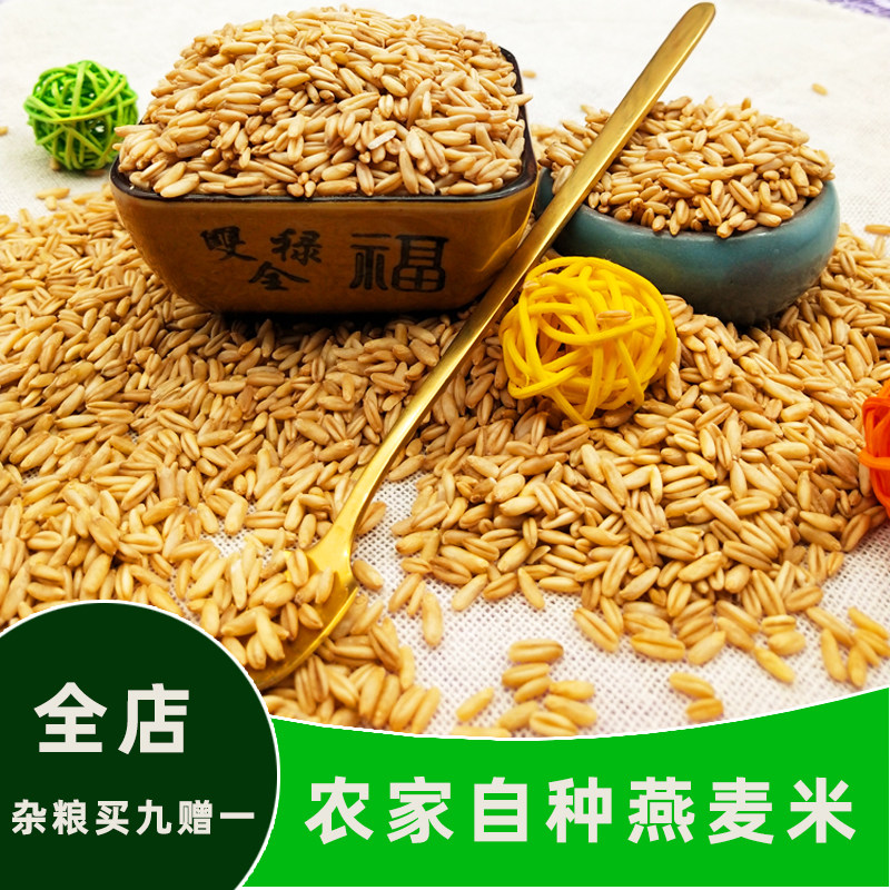 新米东北农家粗粮自产生燕麦米全米500g 燕麦满5斤包邮