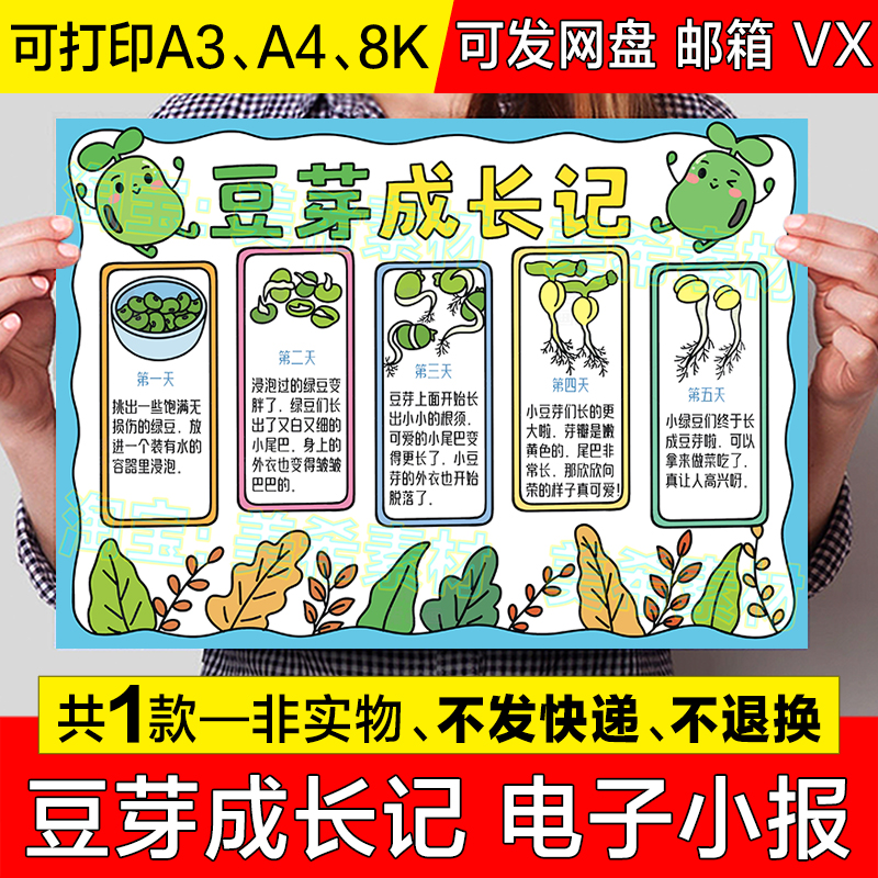 豆芽成长记儿童绘画模板小学生植物蔬菜生长观察记录日记手抄报8k