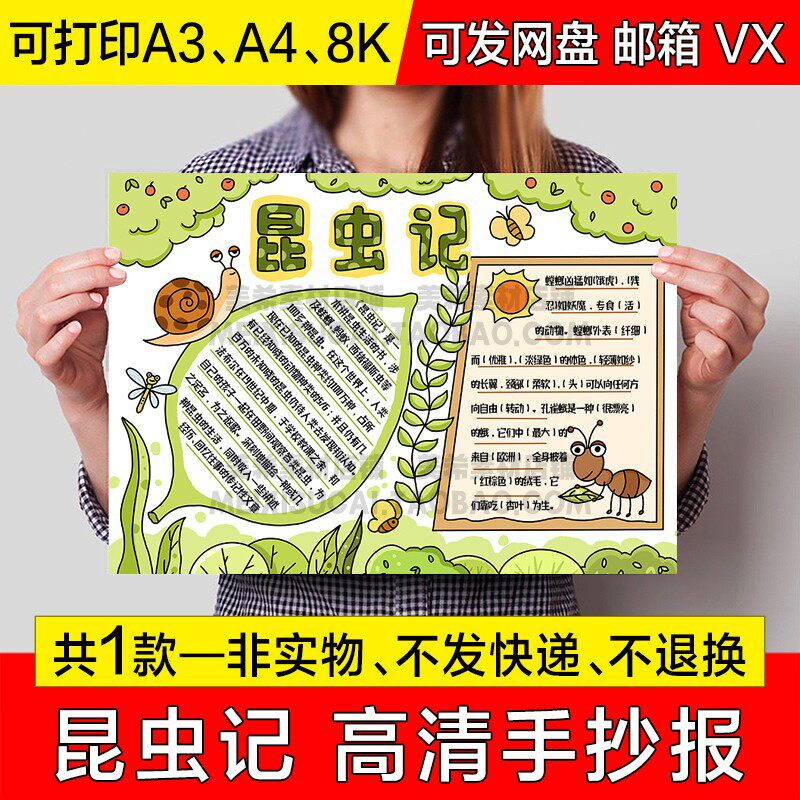 昆虫记手抄报电子模版小学生好书推荐手绘小报a4线稿a3模板8k素材