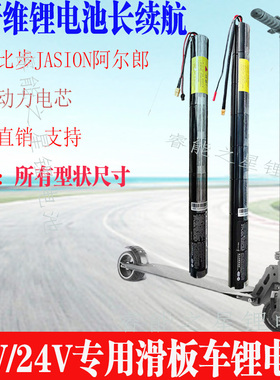适配碳纤维电动滑板车24v36v配件bremer比步阿尔郎奈斯德瓶锂电池
