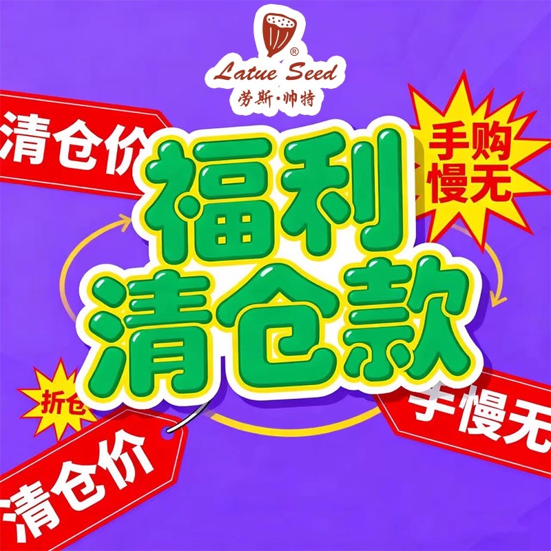 时尚女包劳斯帅特2025新款大气