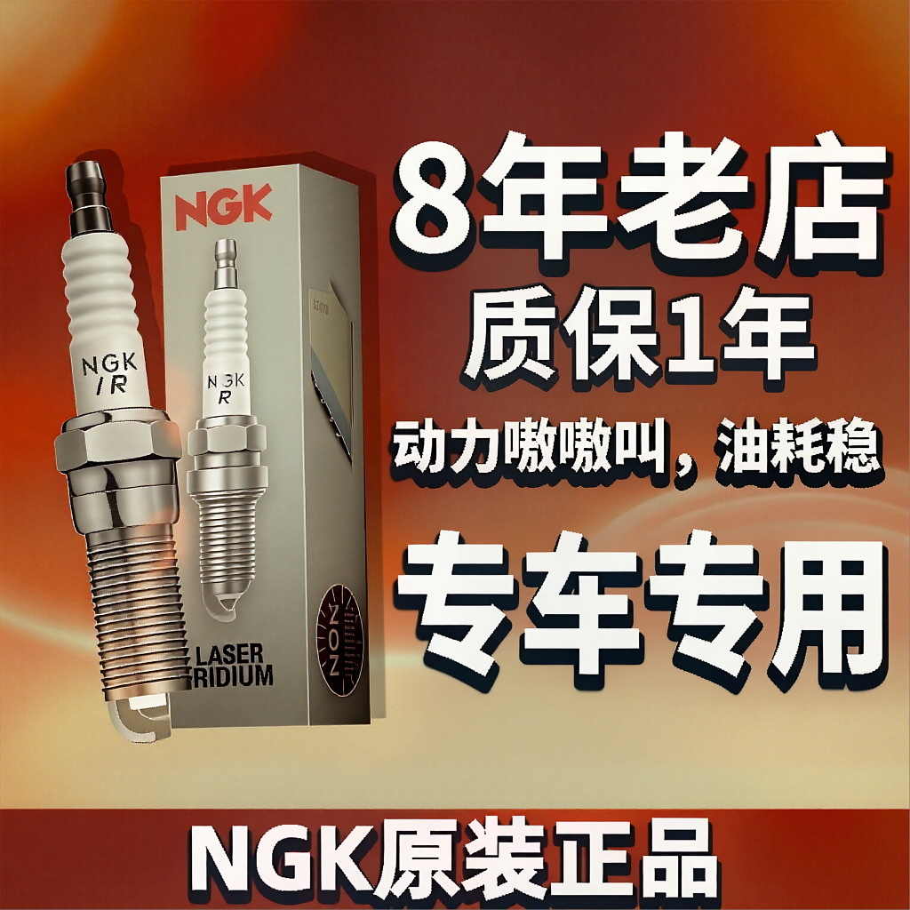 NGK火花塞1208宝马3系5系7系325i 520 525i 528Li X1 X3 X5 N52