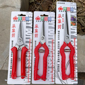 采果剪花椒葡萄采摘剪刀花枝剪水果蔬菜采摘园艺剪刀疏果剪修枝剪