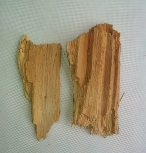 胡蜂筑巢朽木建巢树皮马蜂红娘金环大黑尾黄脚种蜂王活动区喂食笼