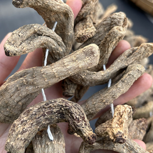 云南省昭通正宗干天麻野生天麻小草坝干货无硫