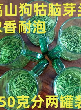 2026新茶芽头狗牯脑茶叶江西遂川春茶贡品特级芽250克送罐礼盒装