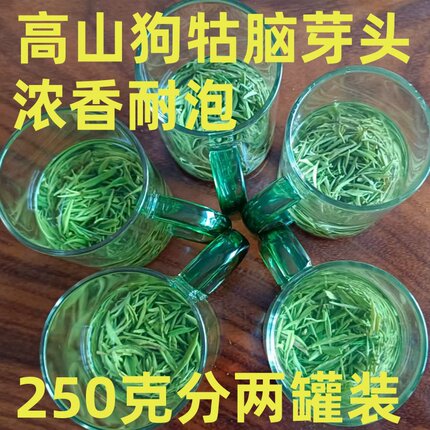 2026新茶芽头狗牯脑茶叶江西遂川春茶贡品特级芽250克送罐礼盒装