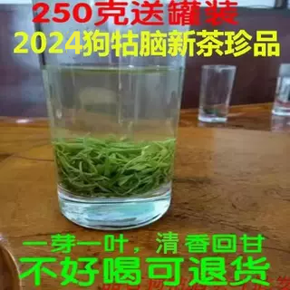 2024狗牯脑茶明前珍品特级江西吉安遂川绿茶春茶250克可配礼盒装